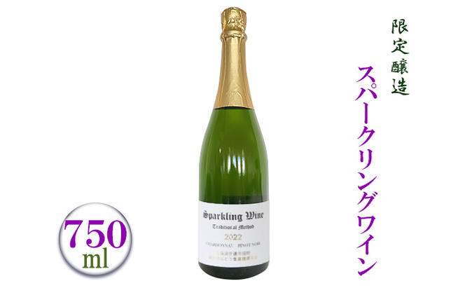スパークリングワイン 2022 限定醸造 北海道 伊達市産ぶどう使用 ぶどう フレッシュ フルーティー シャープ