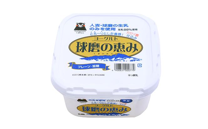 ヨーグルト プレーン 砂糖 球磨の恵ヨーグルト 1kg×4パック 乳製品 プレーンヨーグルト シュガー
