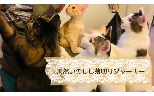 FB096 　猫の無添加おやつ☆天然いのししジャーキー4個【定期便全12回】