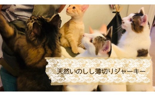 FB095 　猫の無添加おやつ☆天然いのししジャーキー4個【定期便全6回】