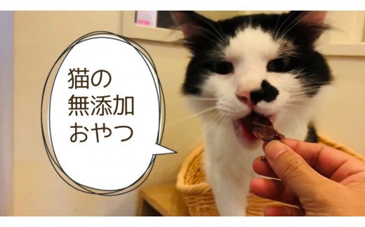 FB094  猫の無添加おやつ☆天然いのししジャーキー4個【定期便全3回】