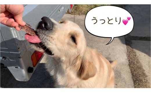 FB091 中～大型犬向け☆天然いのししスモークジャーキー8個【定期便】全6回