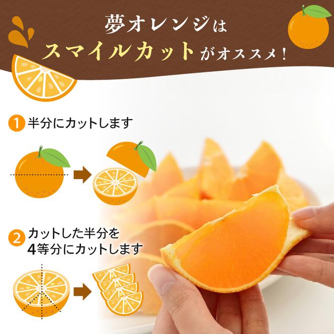 【訳あり】みかん職人の夢オレンジ 2kg【発送期間：11月中旬～1月下旬】