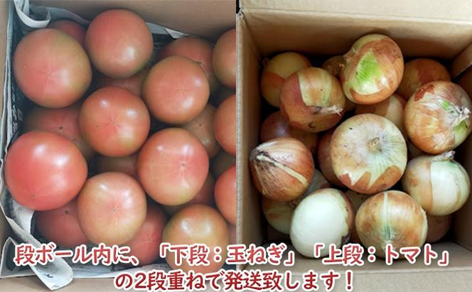 ◆2024年7月から順次出荷◆ farmユメソラ 大玉トマト＆玉ねぎセット 約5kg