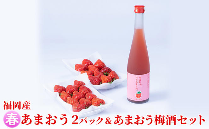 いちご あまおう 2パック 春 ＆あまおう梅酒 あまおうはじめました。 500ml×1本セット 配送不可 離島