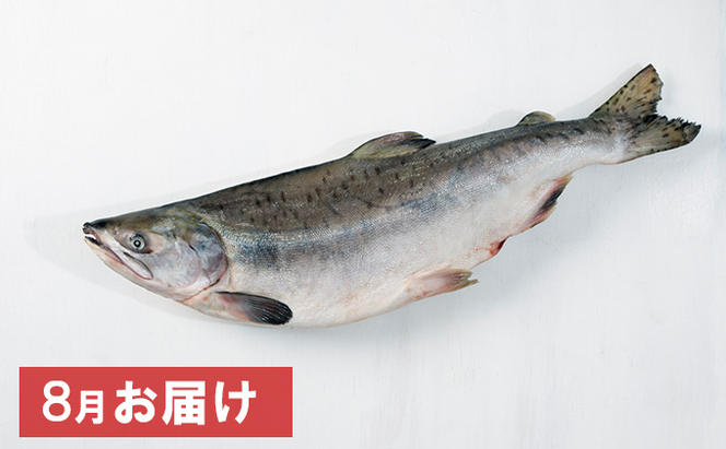 【国内消費拡大求む】北海道オホーツク湧別産　旬の魚介類　定期便A