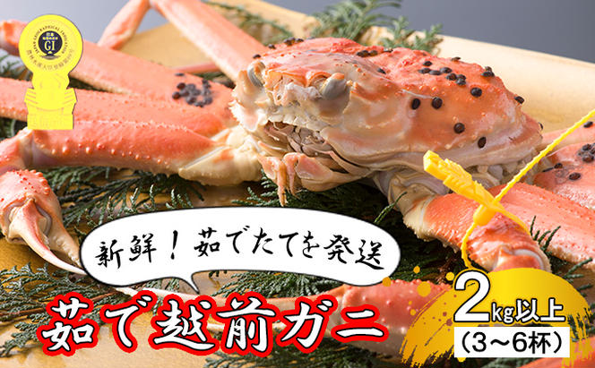 【年内届け】茹で越前ガニ【期間限定】食通もうなる本場の味をぜひ、ご堪能ください。 約2kg以上（3～6杯）訳あり（脚折れ含む）越前がに 越前かに 越前カニ ずわいがに かに カニ ボイルガニ