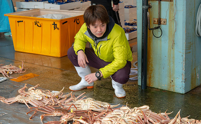 【年内届け】茹で越前ガニ【期間限定】食通もうなる本場の味をぜひ、ご堪能ください。 約2kg以上（3～6杯）訳あり（脚折れ含む）越前がに 越前かに 越前カニ ずわいがに かに カニ ボイルガニ