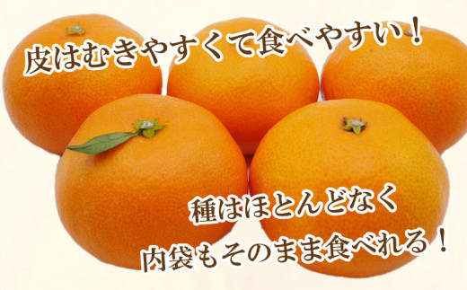 先行予約 訳あり 愛媛みかん 5kg 10000円 愛媛 みかん 温州みかん こたつ みかん mikan 蜜柑 ミカン 家庭用 産地直送 国産 農家直送 糖度 期間限定 数量限定 特産品 ゼリー ジュース アイス 人気 限定 甘い フルーツ 果物 柑橘 先行 事前 予約 受付 ビタミン 美味しい おいしい サイズ ミックス 愛南町 愛媛県 吉田農園