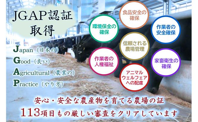【飛騨牛】海津市産ロース焼肉オリジナルカット 【配達不可：離島】