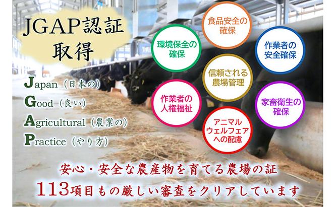 【数量限定】【飛騨牛】海津市産ステーキプレミアムセット 【配達不可：離島】