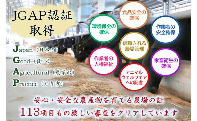 【飛騨牛】海津市産モモ焼肉オリジナルカット 【配達不可：離島】