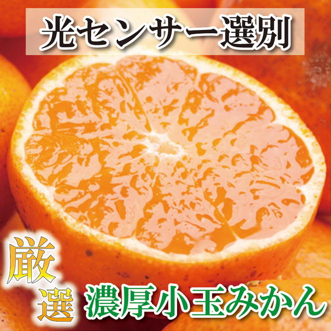 ＜11月より発送＞厳選 小玉な有田みかん7.5kg+225g（傷み補償分）【光センサー選果】※北海道・沖縄・離島への配送不可　※2024年11月中旬～12月下旬頃に順次発送予定