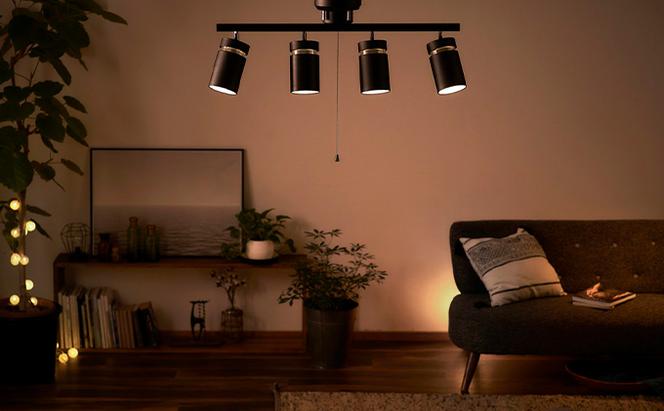 シーリングライト LED 照明 4灯 マットブラック CE4LA-22SS-MB アイリスオーヤマ 照明器具 天井照明 節電 省エネ リビング 寝室 和室 ダイニング キッチン 台所