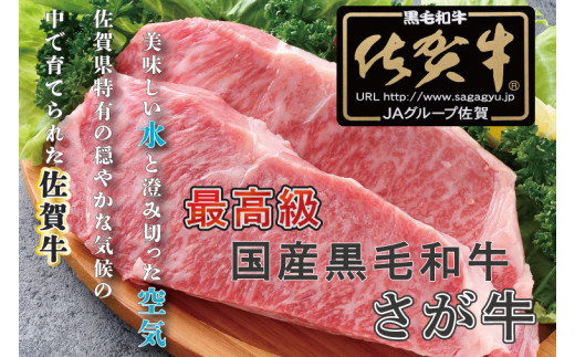 BG343　【12回定期便】【訳あり】最高級A5佐賀牛ブランド　サーロインステーキ（200ｇ×6）　コロナ支援　肉　牛肉