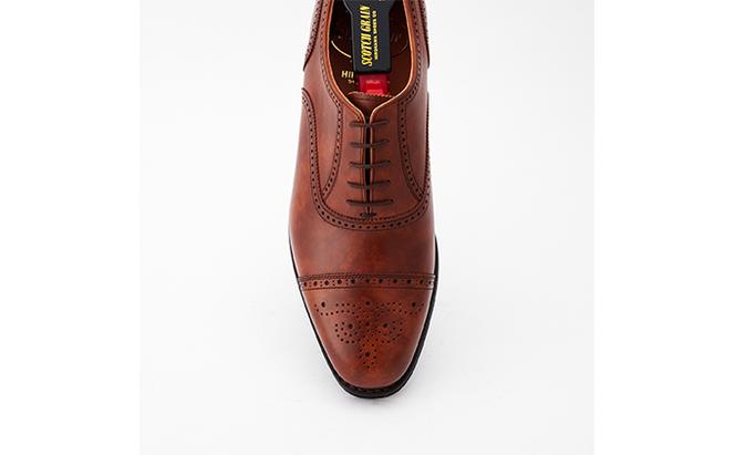 スコッチグレイン 紳士靴 「シャインオアレインIII」 NO.2720BR メンズ 靴 シューズ ビジネス ビジネスシューズ 仕事用 ファッション パーティー フォーマル