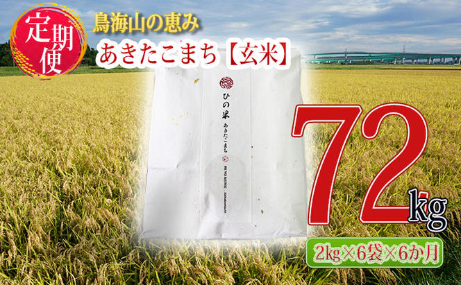 新米 米 お米 《定期便》12kg×6ヶ月 秋田県産 あきたこまち 玄米 2kg×6袋 神宿る里の米「ひの米」（お米 小分け）