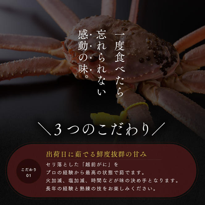 【年内届け】茹で越前ガニ【期間限定】食通もうなる本場の味をぜひ、ご堪能ください。約1.1kg以上 越前がに 越前かに 越前カニ カニ ボイルガニ