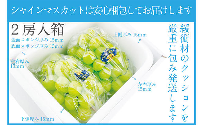 ぶどう 2025年 先行予約 シャイン マスカット 晴王 2房（合計約1.1kg） 晴れの国 おかやま 岡山県産 フルーツ王国 果物王国