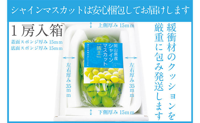 ぶどう 2025年 先行予約 シャイン マスカット 晴王 1房 約670g 晴れの国 おかやま 岡山県産 フルーツ王国 果物王国