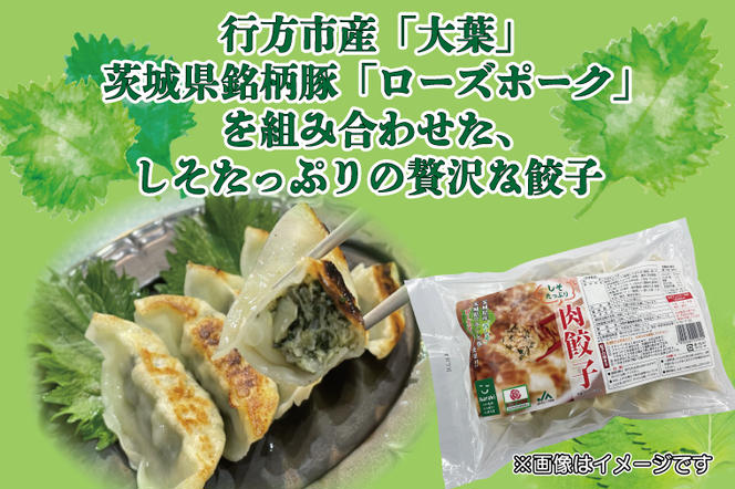 AE-57 冷凍焼き芋（6本）＆しそたっぷり肉餃子（30個）セット