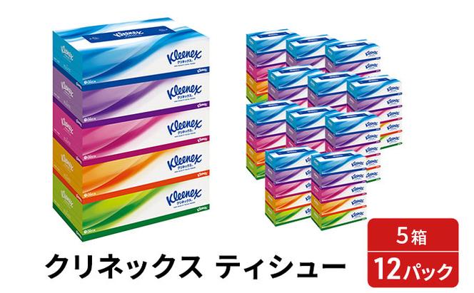 トイレットペーパー ティッシュペーパー 定期便 2ヶ月 2品別配送 トイレット ペーパー ダブル 3倍 スコッティ フラワーパック 香り付き 48ロール + クリネックス ティシュー 60箱 セット ティッシュ テッシュ 日用品 宮城 定期 2回