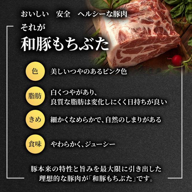 もちぶた 加工肉 6種 詰め合わせ セット ハム ソーセージ 角煮 ベーコン 煮豚 和豚 もち豚 豚肉 ポーク 肉 豚 ぶた ブタ 豚ロース 加工肉 加工品 レトルト レトルト食品 アウトドア スペシャルキャンペーン 