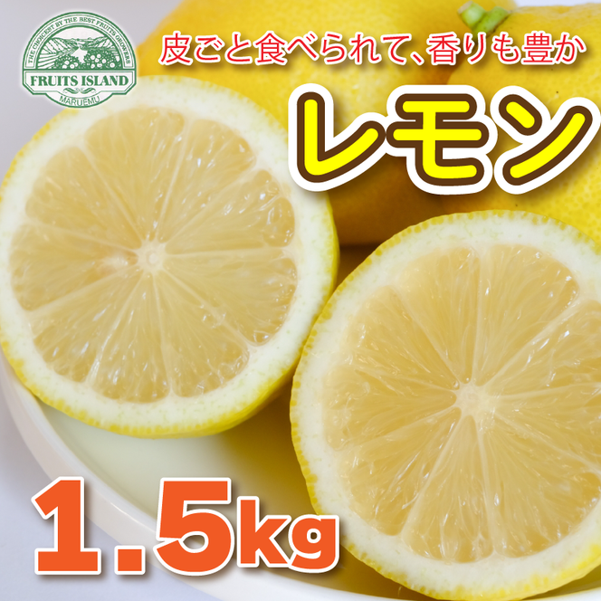 フルーツアイランド・マルエム直販のレモン 1.5kg