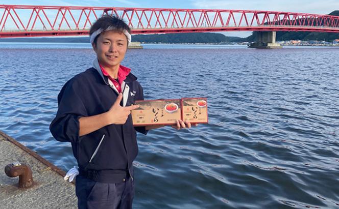 北海道産 いくら 醤油漬け 200g×2パック (合計400g)