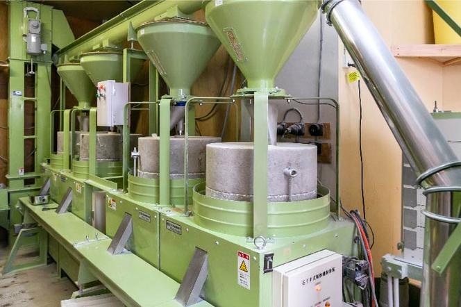 【2025年12月より順次発送】【茨城県共通返礼品/桜川市】《お歳暮》贈答用・熨斗付【常陸秋そば】石臼挽き早刈りそば粉 1kg×3袋入｜そば そば粉 常陸秋そば 茨城県共通返礼品 桜川市 お歳暮 贈り物 ギフト 年越しそば 茨城県 行方市(DX-28-2)