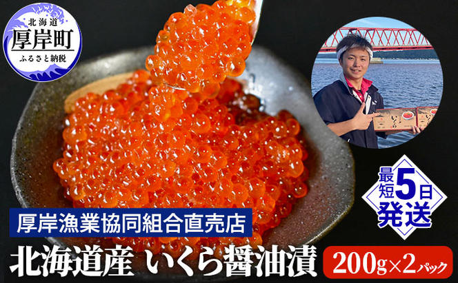 北海道産 いくら 醤油漬け 200g×2パック (合計400g)