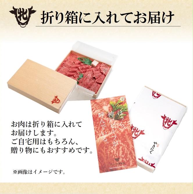 【神戸牛/神戸ビーフ】特上 焼肉 おまかせセット（500g）