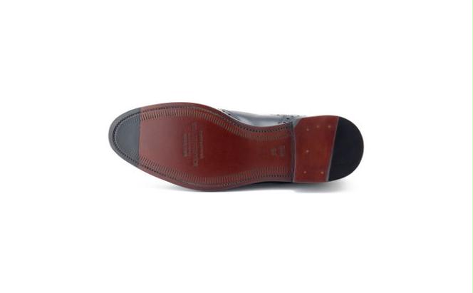 スコッチグレイン 紳士靴 「インペリアル・フランス」 NO.1015 メンズ 靴 シューズ ビジネス ビジネスシューズ 仕事用 ファッション パーティー フォーマル
