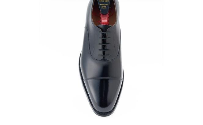 スコッチグレイン 紳士靴 ふるさと納税限定品 「フィオレット」 FI2223 メンズ 靴 シューズ ビジネス ビジネスシューズ 仕事用 ファッション パーティー フォーマル