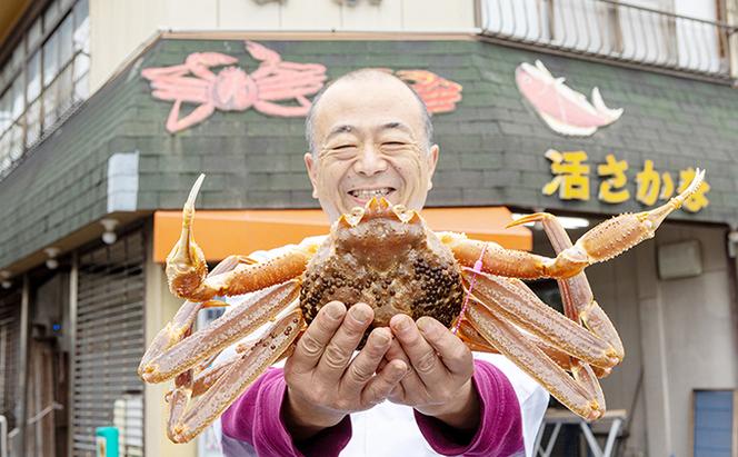 茹でコッペがに 子持ち 特大サイズ 3杯セット（冷蔵） ボイル 蟹 松葉ガニ ズワイガニ カニ かに 茹で 子持ち 内子 外子 蟹味噌 京都 海の京都