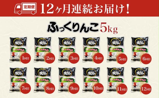 北海道 定期便 12ヵ月連続12回 木古内産 ふっくりんこ 5kg 特A 精米 米 お米 白米 北海道米 道産米 ブランド米 ごはん ご飯 ふっくら 産地直送 木古内公益振興社 送料無料