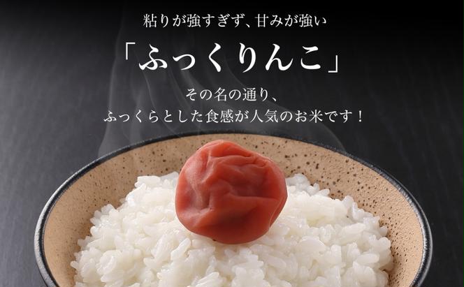 【3カ月定期便】北海道 木古内町産 ふっくりんこ 15kg 家計応援米　北海道米