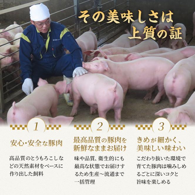 もちぶた 3種 食べ比べセット ハンバーグ 140g 唐揚げ 250g 味噌漬け ロース 肩ロース モモ 120g セット 和豚 もち豚 豚肉 ポーク 肉 豚 ぶた 豚ロース もも肉 精肉 レトルト レトルト食品 アウトドア キャンプ バーベキュー 宮城