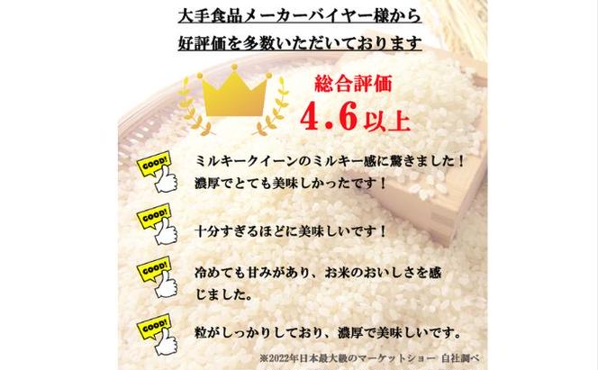 【新米受付】特別優秀賞受賞 長野県産 ミルキークイーン 5kg（玄米）