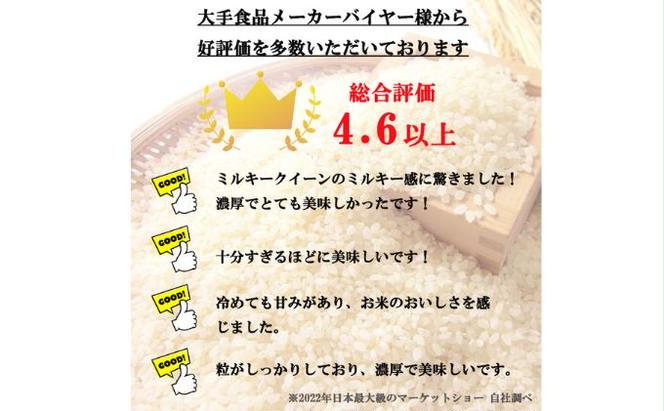 【4ヵ月定期便】特別優秀賞受賞 長野県産 ミルキークイーン 2kg（無洗米）