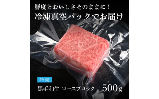 TKA177　天下味 長期熟成肉 エイジングビーフ 黒毛和牛 ロース肉ブロック 500ｇ 国産 A5 黒毛和牛 牛肉 ブロック 肉 人気 老舗焼肉店 冷凍 新鮮 真空パック 美味しい ローストビーフ ステーキ 贅沢 お祝い 高知 芸西村 返礼品 故郷納税 贈り物 贈答 ギフト 19000円