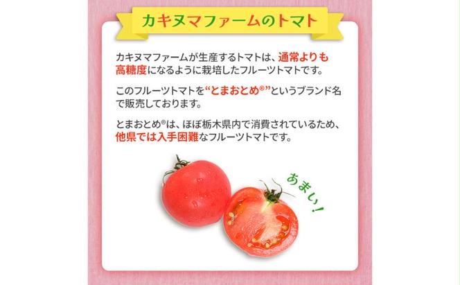 栃木県 鹿沼産 高糖度 フルーツトマト  ”とまおとめ”  食べ比べ  2kg 野菜 トマト フルーツトマト 食べ比べ 2kg お届け：2023年12月下旬～2024年6月上旬