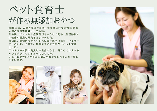 FB099  シニア犬＆幼犬用の無添加おやつ☆固すぎない天然いのししジャーキー4個【定期便全6回】