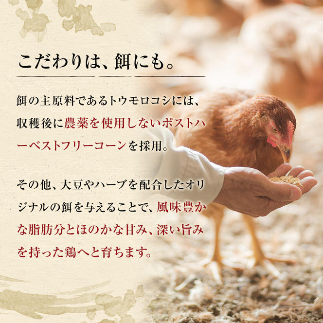 【定期便3回】古処鶏水炊きセット※配送不可：離島