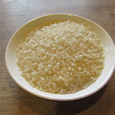 秋田県産ササニシキ（玄米）郷山のお米4kg（2kg×2袋）×8ヶ月定期便（8回 8ヵ月）