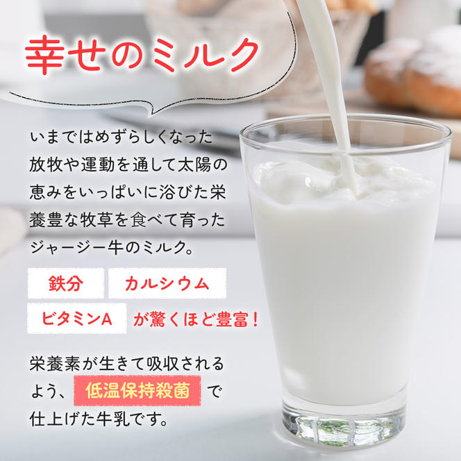 土田牧場 幸せのミルク（ジャージー 牛乳）900ml×2本 （健康 栄養豊富）