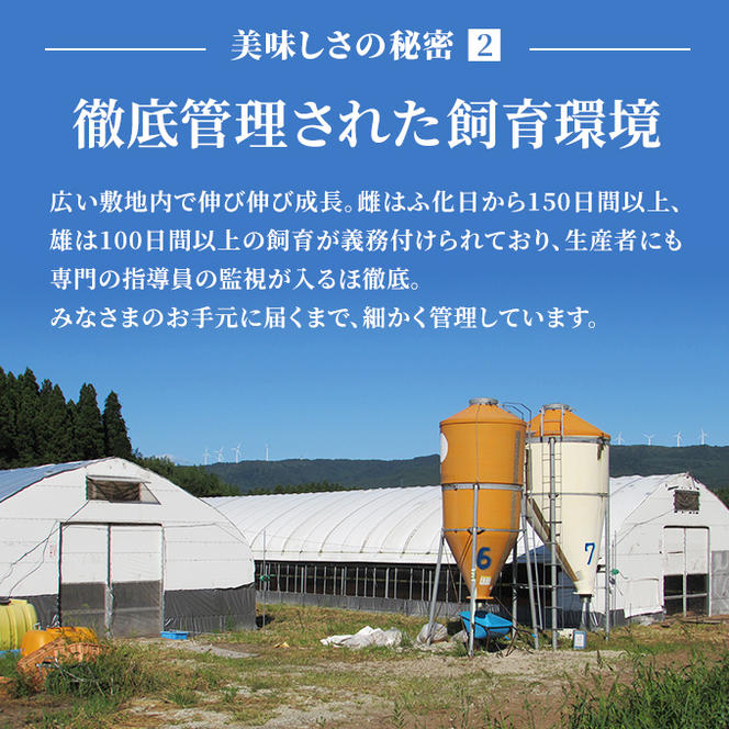 秋田県産 比内 地鶏 定期便 900g(150g×6袋×6ヶ月 計15.4kg 小分け もも ムネ 味付け無し）