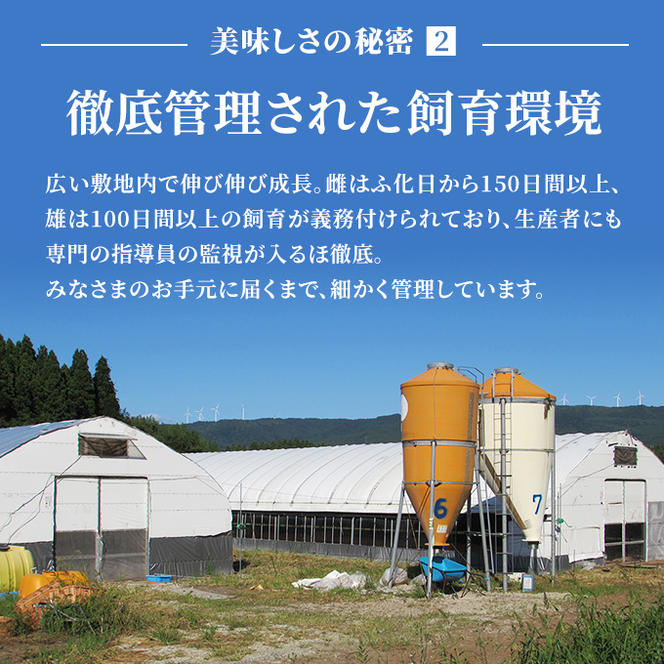 秋田県産比内地鶏肉 焼き鳥の定期便（30本×7ヵ月）（焼鳥 7ヶ月 もも肉 むね肉）