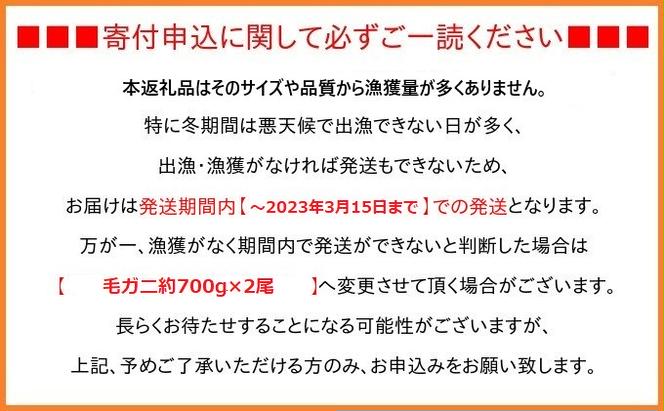 【特選】富山産　毛がに約900g×1尾（孫七タグ付き）