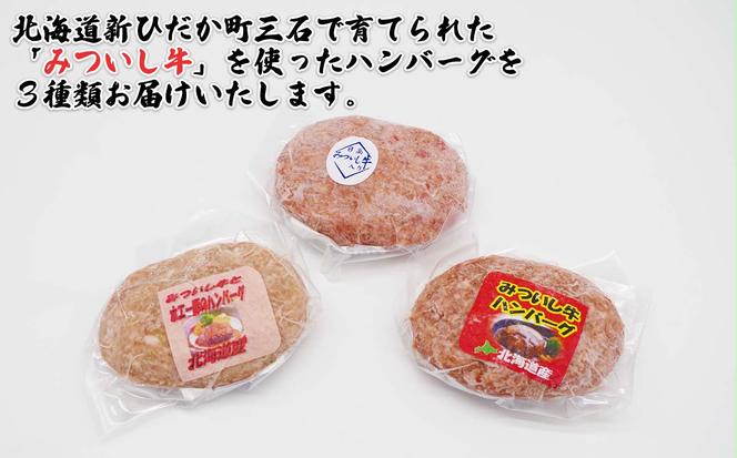 北海道産 黒毛和牛 みついし牛 ハンバーグ 3種 計 900g ( 100g × 各 3個 ) セット ( ホエー豚 道産豚 )